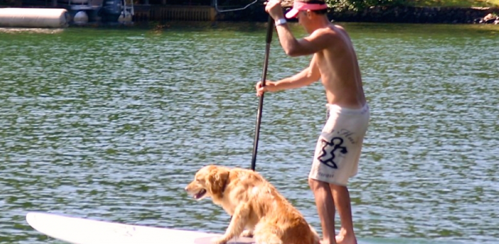 lake burton dog yolo