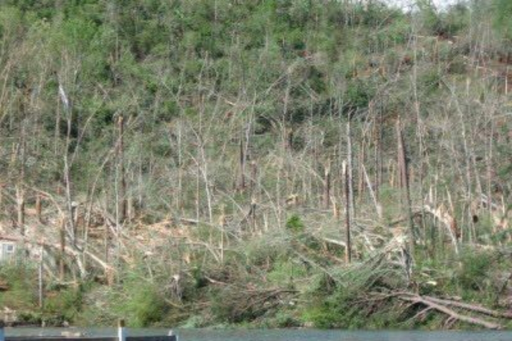 Tornado – 625 of 756