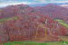 Bent Grass Way Lot 29 Clayton-large-008-017-Aerial-1500×844-72dpi